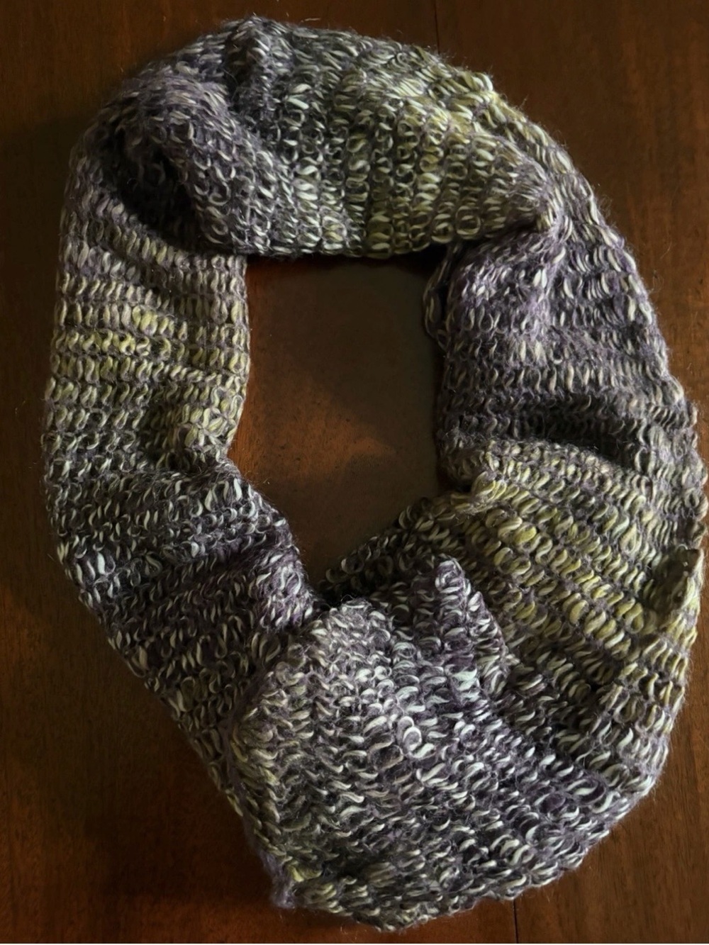 Purple Plum Scarf from Garnet Hill Infinity or Not